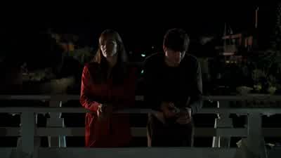 What are you doing with the flowersREED They're all the ones that nobody wantsSo you're giving them a second lifeYeah most shops throw them awayI like the idea that tomorrow somebody's gonnasee them floating by and Yeahwonder where they come fromAnd the - Valentine's Day