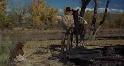 What are you figuring, scout? - Shoot Out
