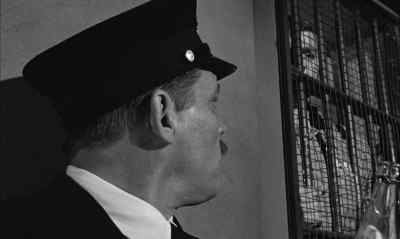 What are you gawking at? - Birdman of Alcatraz