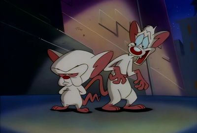 What are we going to do tomorrow night Brain - Animaniacs
