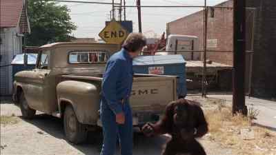 What are you going to do with them? - Any Which Way You Can