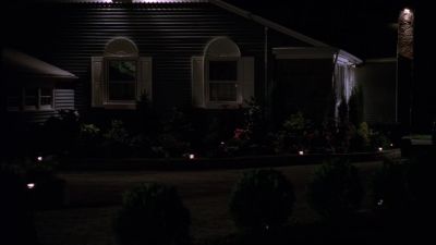 What are you gonna do - The Sopranos