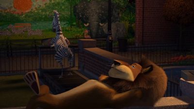 What are you guys doing - Madagascar