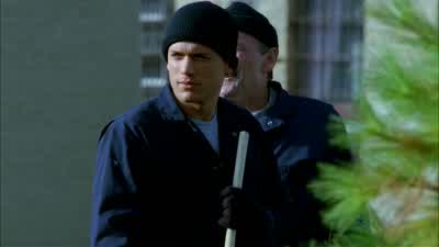 What are you looking at? - Prison Break