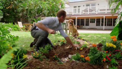 What are you looking at? - Hawaii Five-0