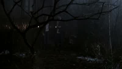 MOLLY: What are we looking for? - Supernatural