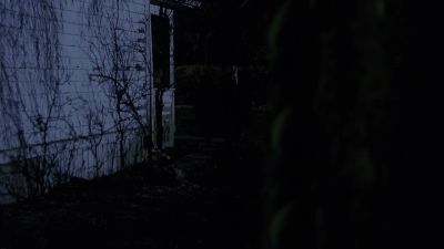 What are you looking for? - The X-Files