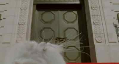 What are you planning to do,
Mighty Mouse, scale the wall? - Stuart Little 2