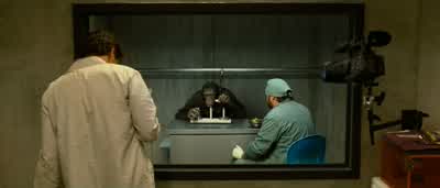 Are you watching thisThis this is unbelieveableOh my GodOh my GodHow many moves was that 20The perfect score is 15 God what what are you giving herHey give me that videoChimp number 9 just one doseCouldn't I see you later We're good to goI'm going to call - Rise of the Planet of the Apes