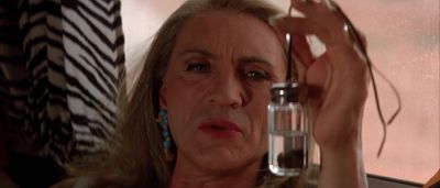 What are you telling me - The Adventures of Priscilla, Queen of the Desert