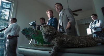 What are these fucking iguanas doing on my coffee table - Bad Lieutenant: Port of Call New Orleans