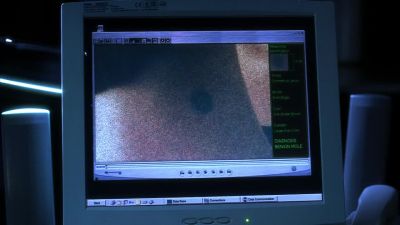 What are these? - CSI: Crime Scene Investigation