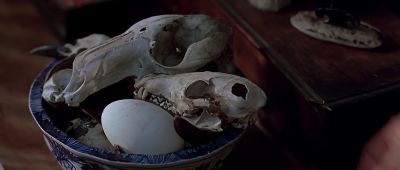 What are these these skulls - Ned Kelly