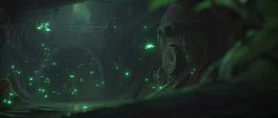 What are they? - Arcane