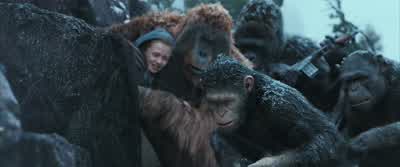 What are they shooting at? - War for the Planet of the Apes