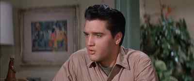 What are you thinking, Glenn? - Wild in the Country