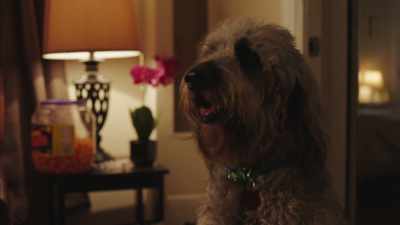 What, are you throwing
a party while I'm gone? - High Maintenance