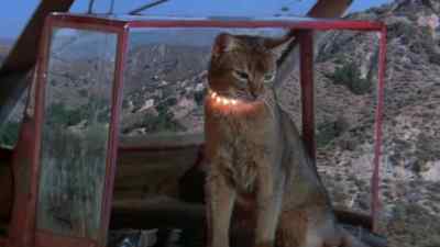 - What are they trying to do?
- Force us down. - The Cat from Outer Space