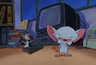 WHAT ARE WE GOING TO DO TOMORROW NIGHT - Pinky and the Brain