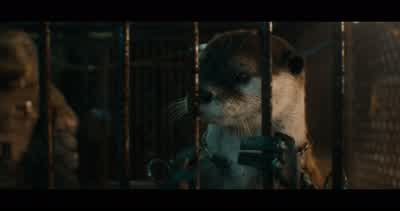 What are you doing? - Guardians of the Galaxy Vol. 3
