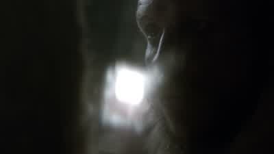 What are you doing? - Vikings