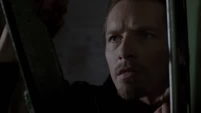 What are you doing? - Teen Wolf