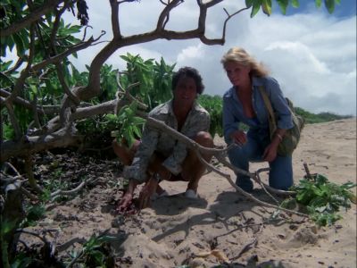 WHAT ARE YOU DOING? - Hawaii Five-O