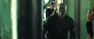 What are you doing? - Never Back Down