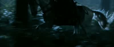 What are you doing?! - The Lord of the Rings: The Fellowship of the Ring