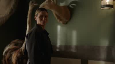 What are you doing? - NCIS