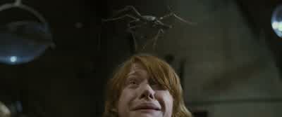 What are you laughing at? - Harry Potter and the Goblet of Fire