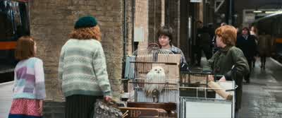 What are you looking at? - Harry Potter and the Philosopher's Stone