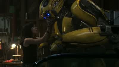 What are you? - Bumblebee