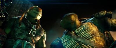 What are you - Teenage Mutant Ninja Turtles