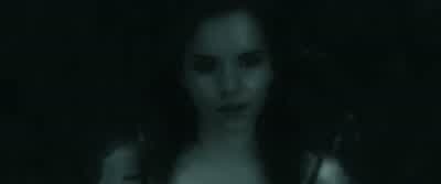 What are youcompared with the Chosen One? - Harry Potter and the Deathly Hallows: Part 1