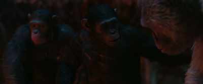-What is beyond those mountains, son?
-Show them, Rocket. - War for the Planet of the Apes
