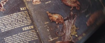 What can you do about it - City of Ember