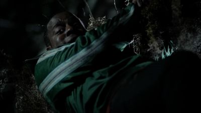 What can you see from up there - Hatchet