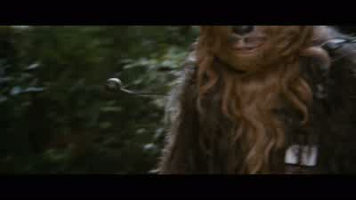 What, Chewie? - Star Wars: Episode VI   Return of the Jedi