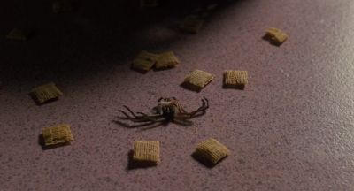 What could have killed it - Arachnophobia