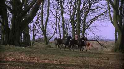 What did you call this horse? - Royal Deceit