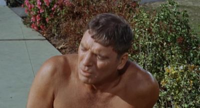 Now what did you do that for - The Swimmer
