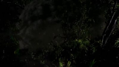 What did you do? - Lost