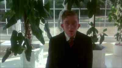 What did I do? - Bugsy Malone