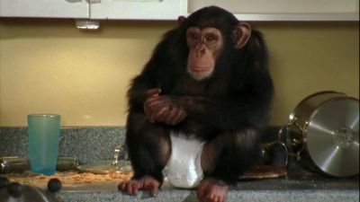 What did I do? - Monk