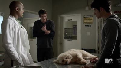 What did I do? - Teen Wolf