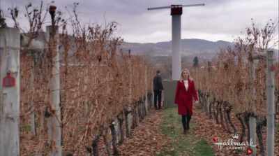 ♪ What did I do
to deserve you? ♪ - Valentine in the Vineyard
