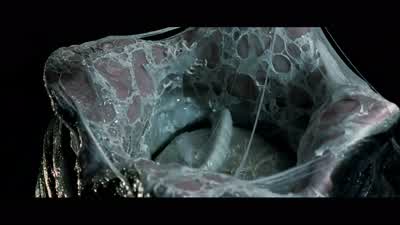 What did you say this room was called? - Alien vs  Predator