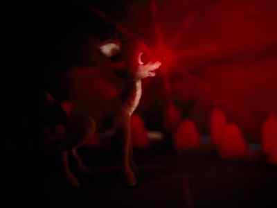 What did you say? - Rudolph's Shiny New Year