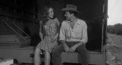 What did you tell him? - Walk on the Wild Side